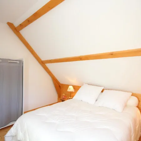 Chalet Mont-dore, 4 Pieces, 8 Personnes - Fr-1-608-2